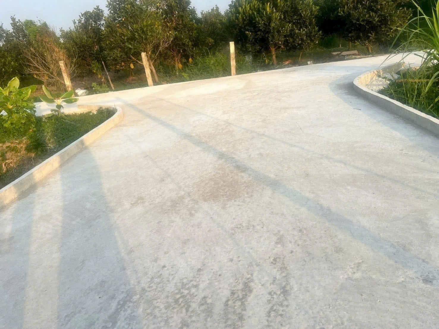 Bán đất X. Bình Tịnh, H. Tân Trụ, T. Long An - Ảnh 3