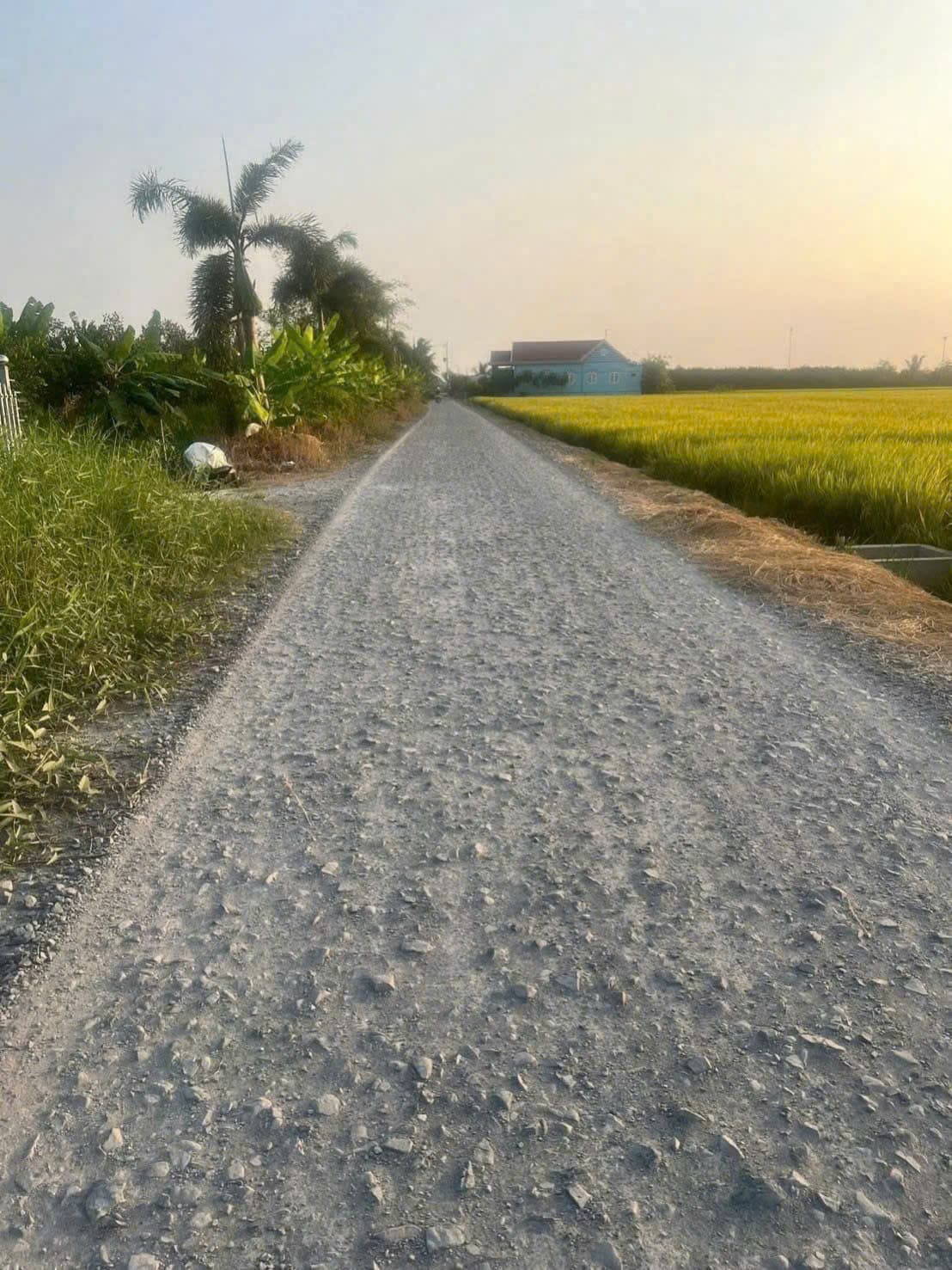 Bán đất X. Bình Tịnh, H. Tân Trụ, T. Long An - Ảnh 2