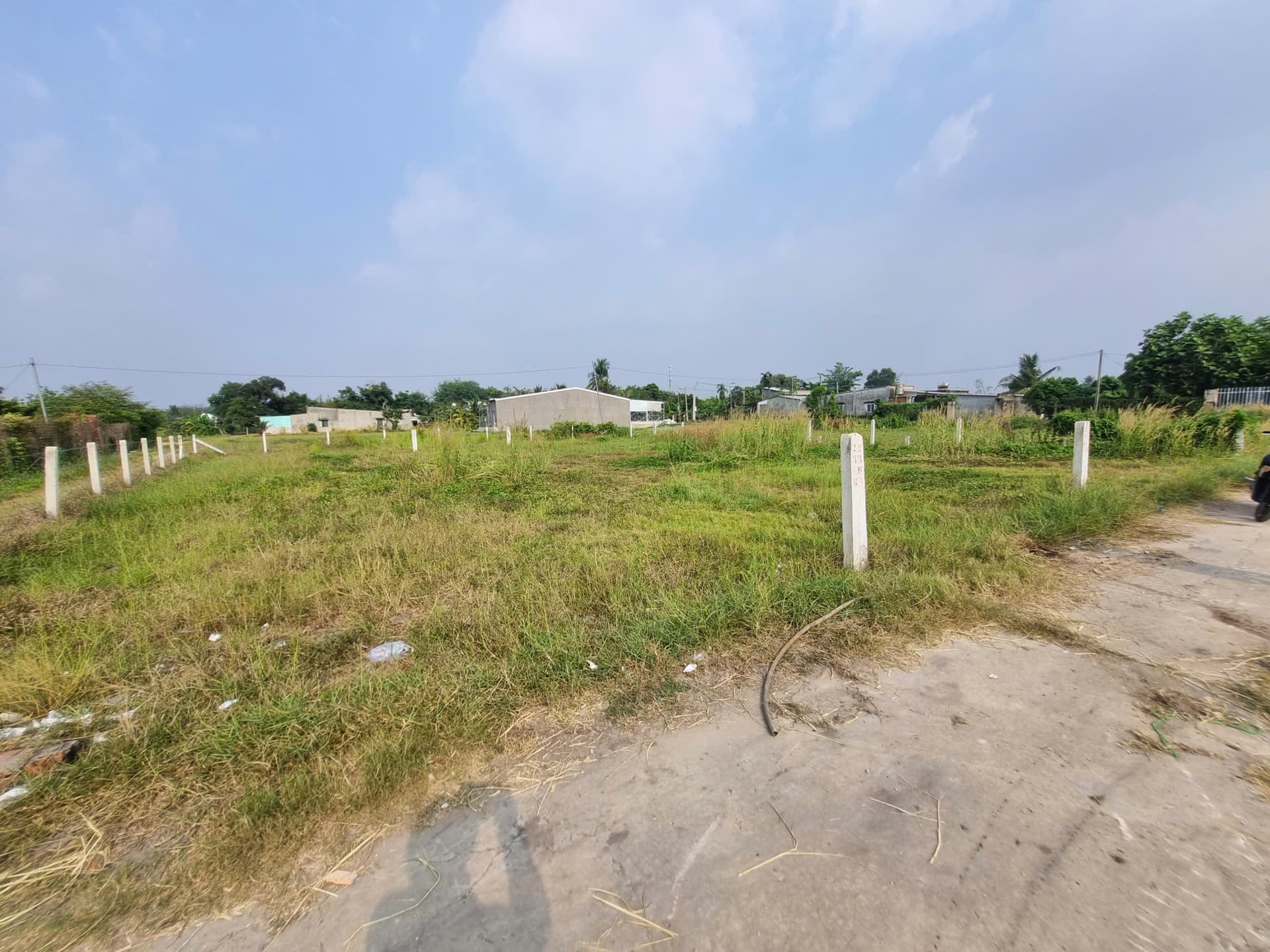 Bán đất X. Thanh Phước, H. Gò Dầu, T. Tây Ninh