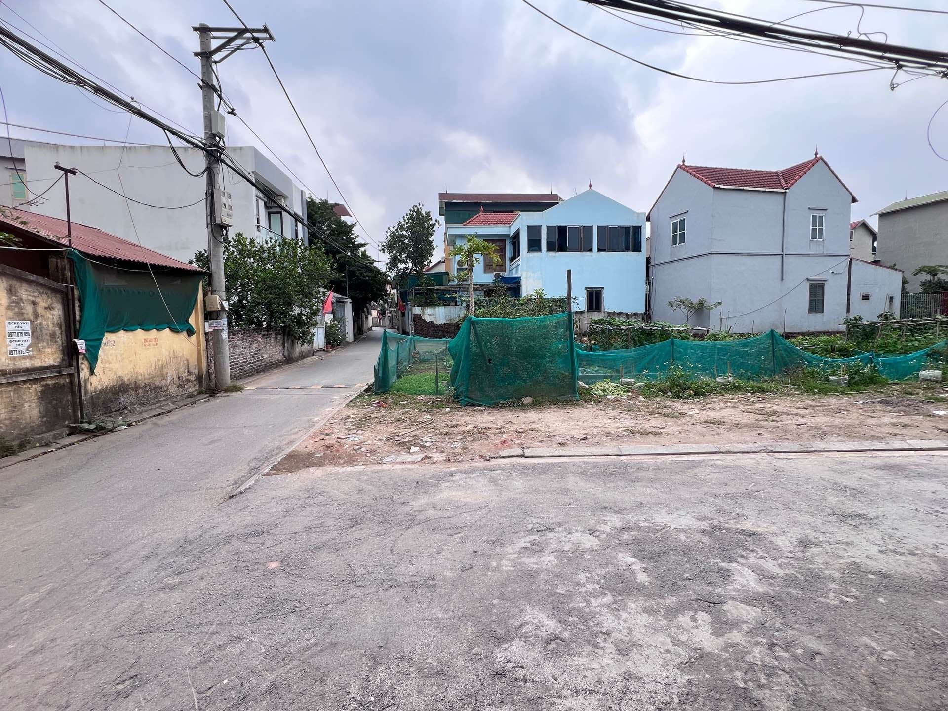 Bán đất Thôn Lê Xá, X. Đa Tốn, H. Gia Lâm, Tp. Hà Nội - Ảnh 2