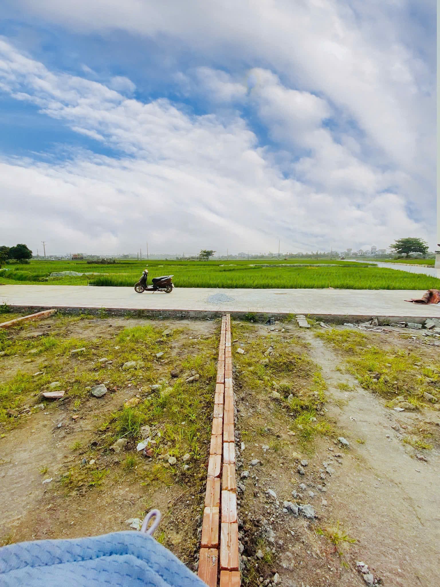 Bán đất X. Kim Đính, H. Kim Thành, T. Hải Dương - Ảnh 3