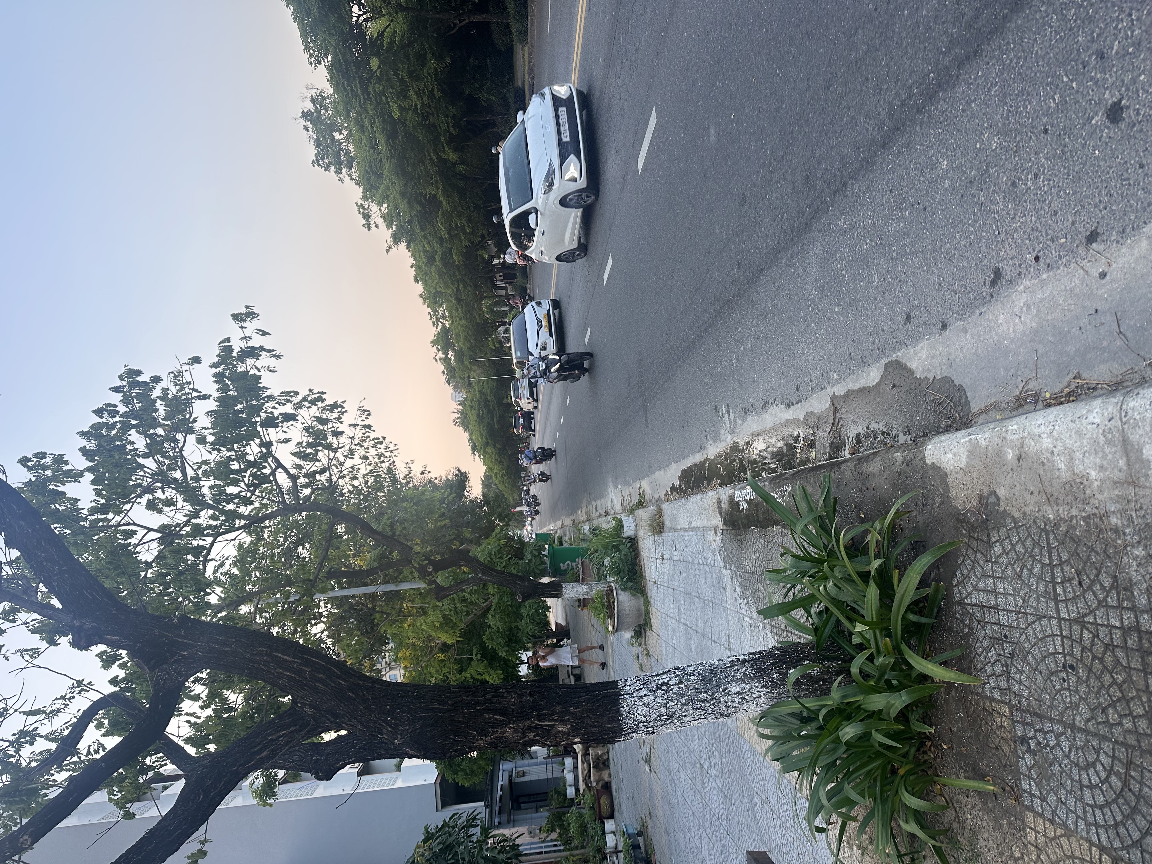 Bán đất P. An Hải Bắc, Q. Sơn Trà, Tp. Đà Nẵng - Ảnh 2