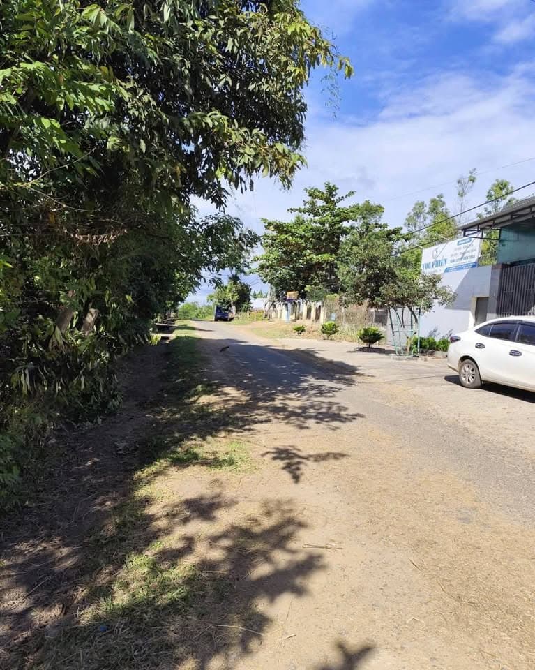 Bán đất Đ. Nguyễn Thái Bình, P. Lê Lợi, Tp. Kon Tum, T. Kon Tum - Ảnh 2