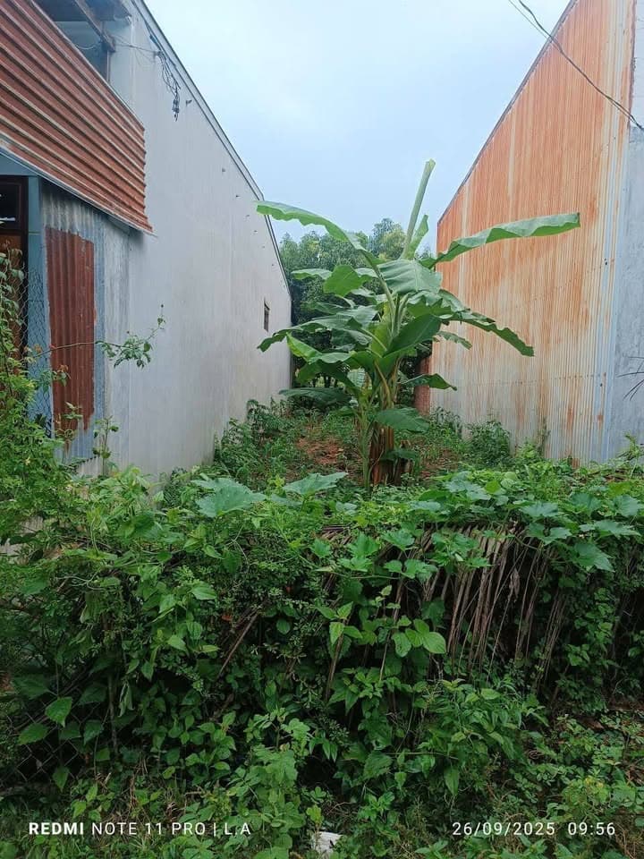 Bán đất Đ. Nguyễn Thái Bình, P. Lê Lợi, Tp. Kon Tum, T. Kon Tum - Ảnh 3