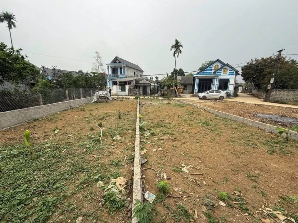 Bán đất X. Nhuận Trạch, H. Lương Sơn, T. Hòa Bình - Ảnh 3