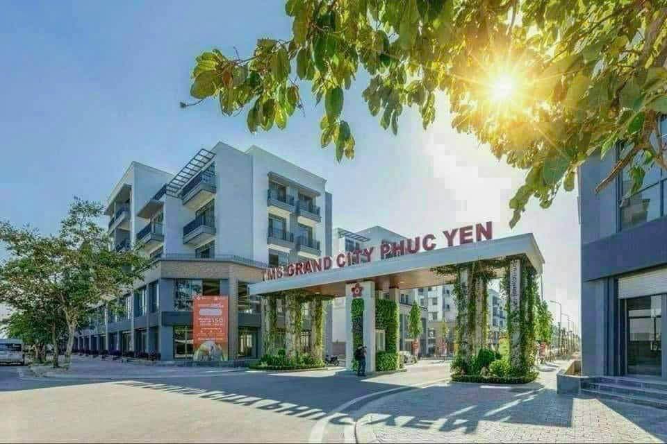 Bán đất H. Vĩnh Tường, T. Vĩnh Phúc - Ảnh 3