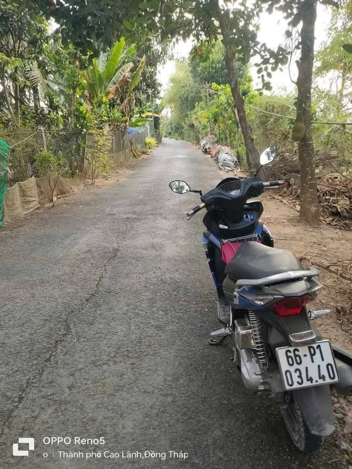 Bán đất Tp. Cao Lãnh, T. Đồng Tháp - Ảnh 3