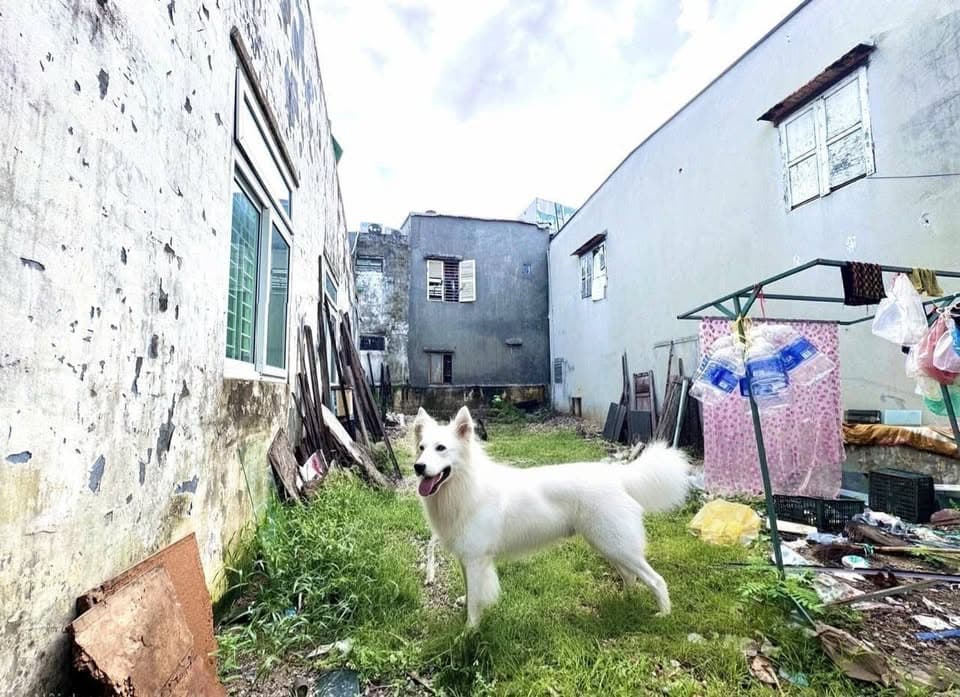 Bán đất Q. Hải Châu, Tp. Đà Nẵng - Ảnh 2