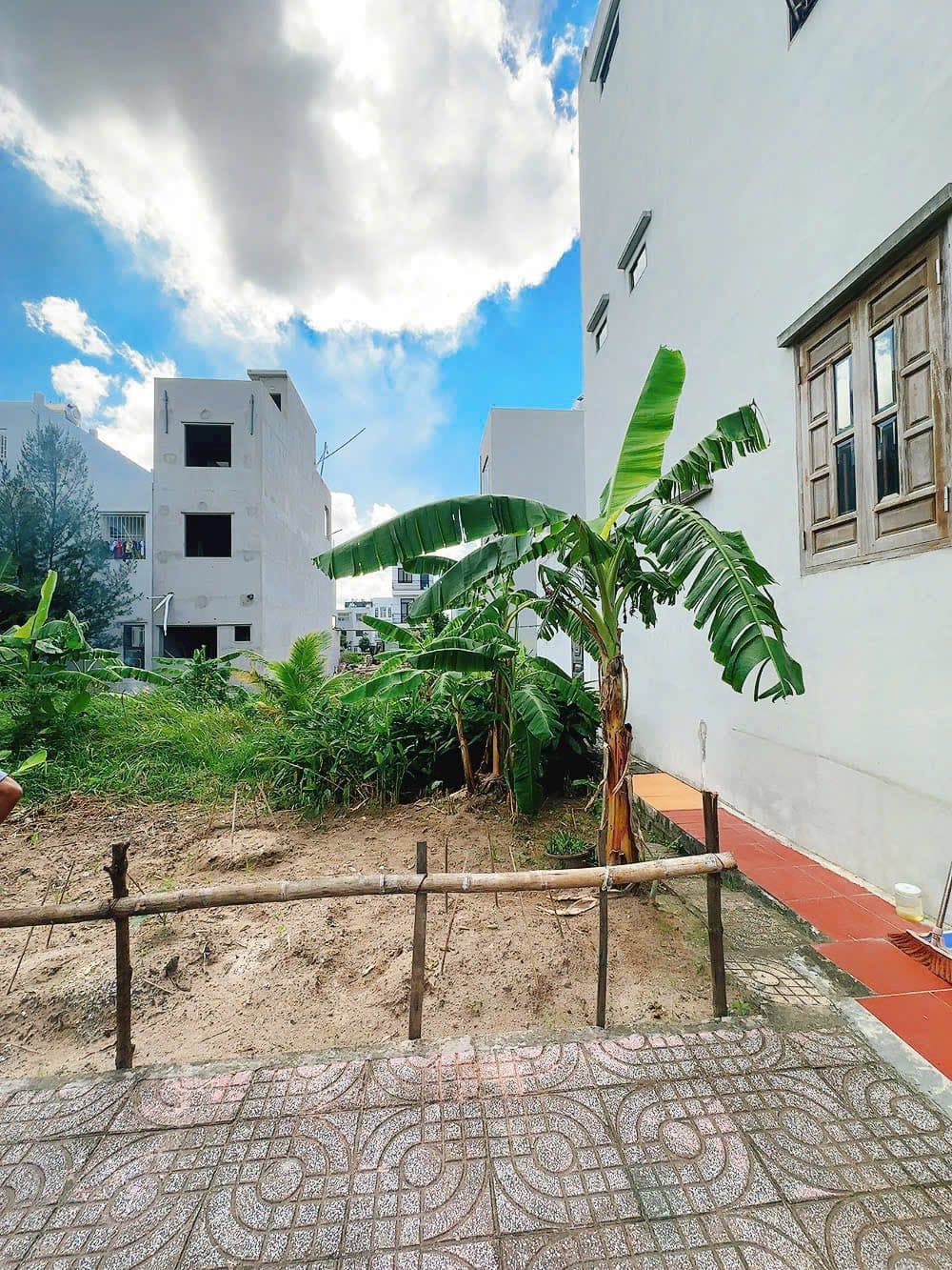 Bán đất X. Phú Xuân, Tp. Thái Bình, T. Thái Bình - Ảnh 3