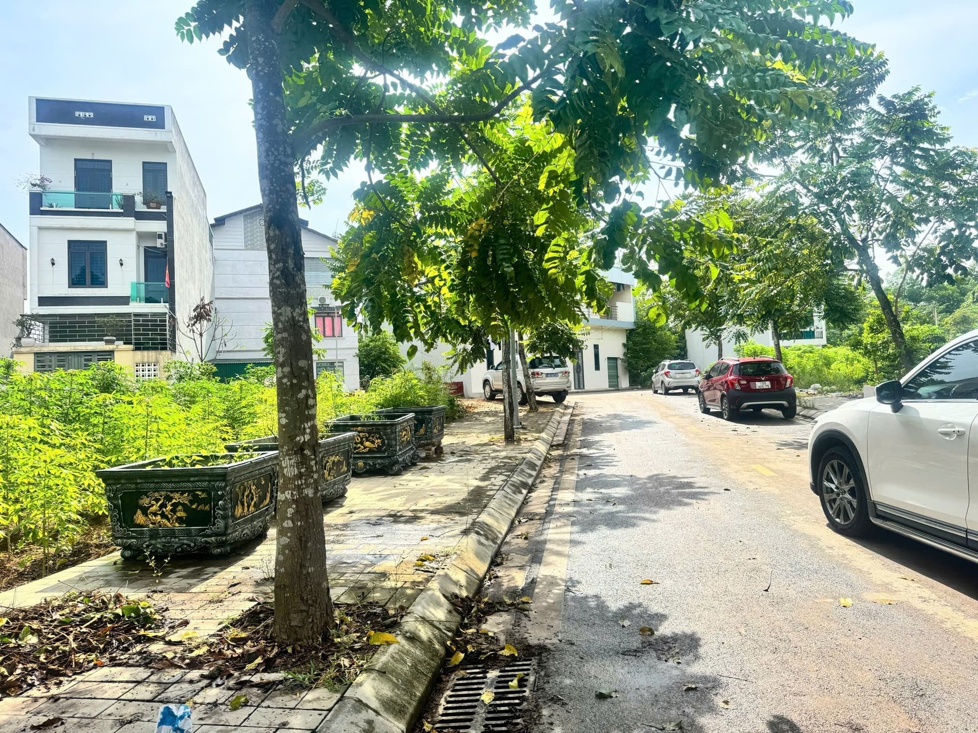 Bán đất Đ. Lạc Long Quân, P. Tân Dân, Tp. Việt Trì, T. Phú Thọ