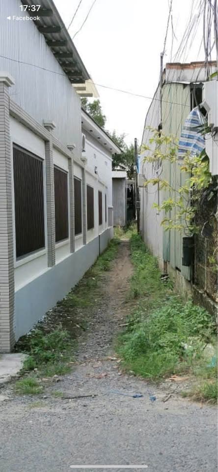 Bán nhà riêng Đ. Cách Mạng Tháng Tám, P. 3, Tp. Cao Lãnh, T. Đồng Tháp - Ảnh 3