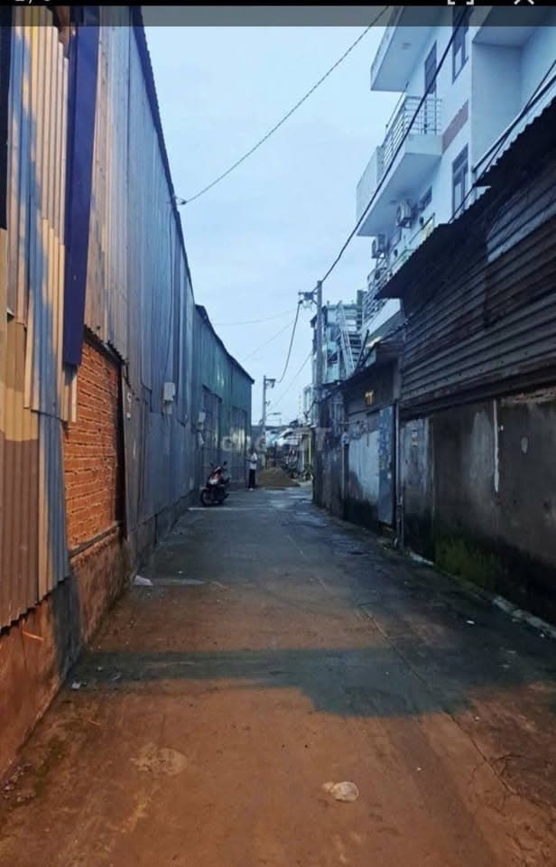 Bán đất P. Bình Trị Đông, Q. Bình Tân, Tp. Hồ Chí Minh - Ảnh 2