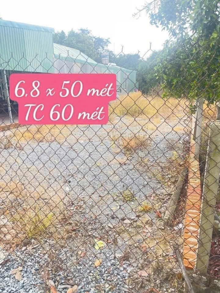 Bán đất P. An Thạnh, Tp. Thuận An, T. Bình Dương - Ảnh 3