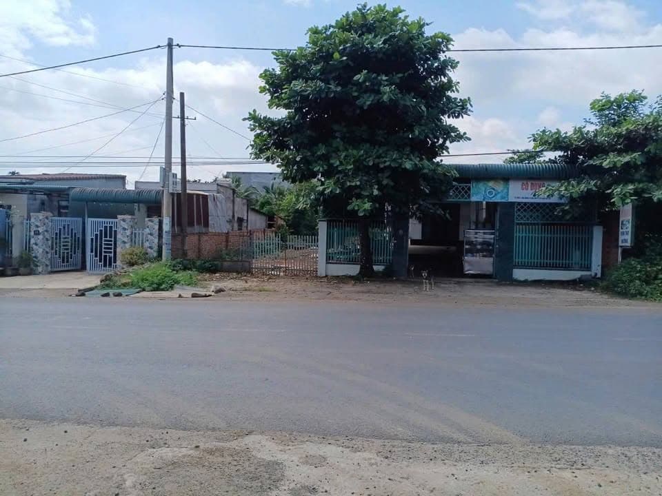 Bán đất Đ. Tỉnh Lộ 2, X. Hòa Phú, Tp. Buôn Ma Thuột, T. Đắk Lắk