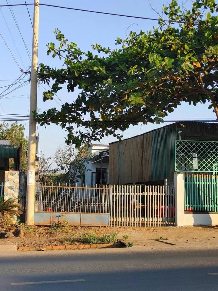 Bán đất Đ. Tỉnh Lộ 2, X. Hòa Phú, Tp. Buôn Ma Thuột, T. Đắk Lắk - Ảnh 2