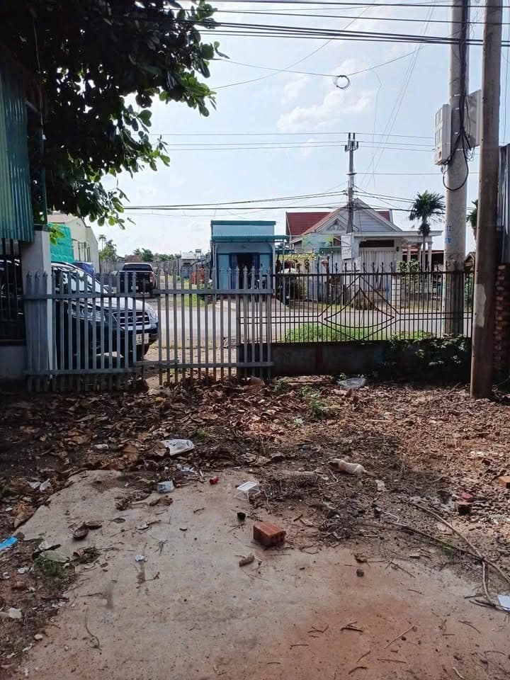 Bán đất Đ. Tỉnh Lộ 2, X. Hòa Phú, Tp. Buôn Ma Thuột, T. Đắk Lắk - Ảnh 3