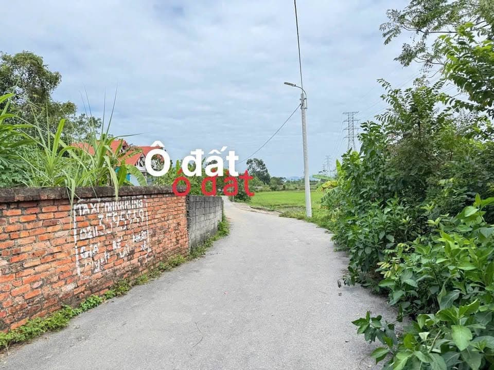 Bán đất X. Hương Sơn, H. Bình Xuyên, T. Vĩnh Phúc