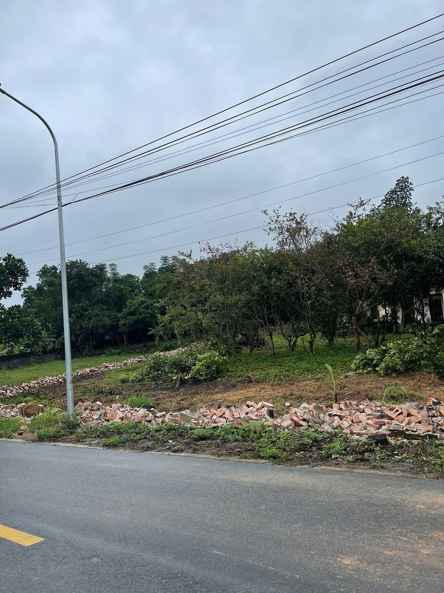 Bán đất H. Ba Vì, Tp. Hà Nội - Ảnh 2