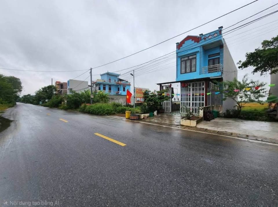 Bán đất H. Vũ Thư, T. Thái Bình - Ảnh 3