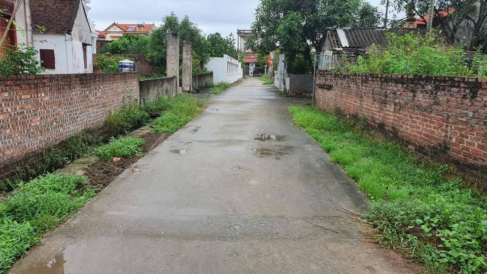 Bán đất X. Đông Cứu, H. Gia Bình, T. Bắc Ninh - Ảnh 2