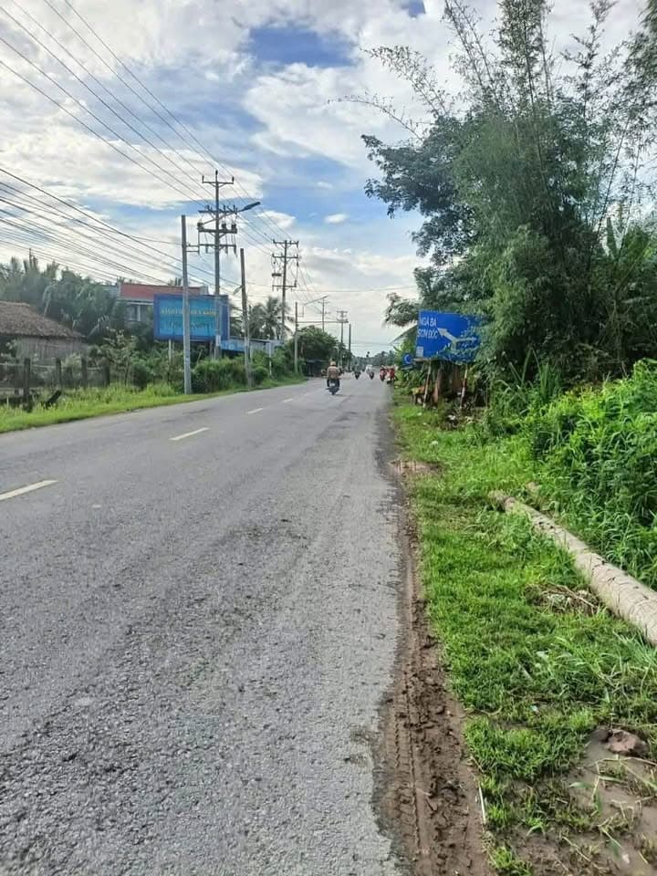 Bán đất X. Thuận Điền, H. Giồng Trôm, T. Bến Tre - Ảnh 2