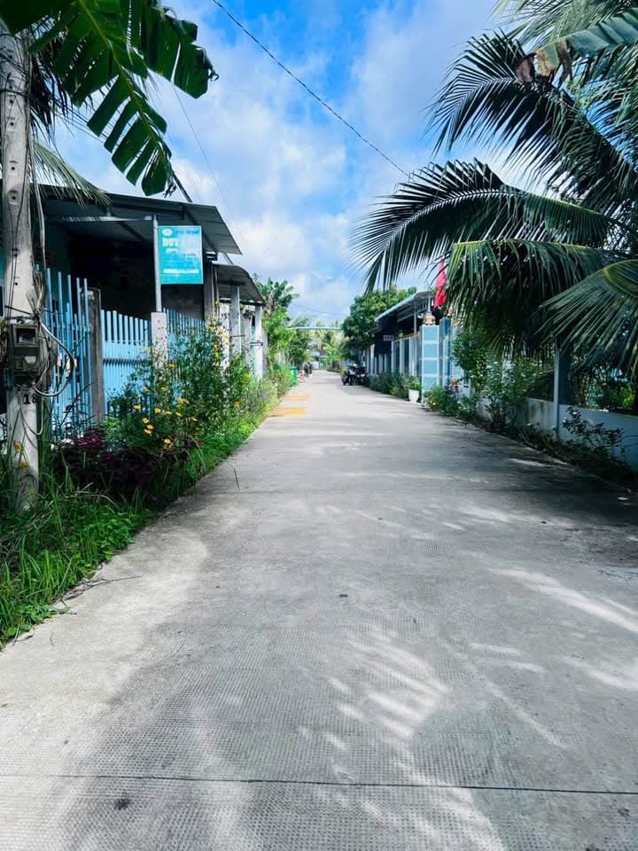 Bán đất X. Tam Phước, H. Châu Thành, T. Bến Tre - Ảnh 2