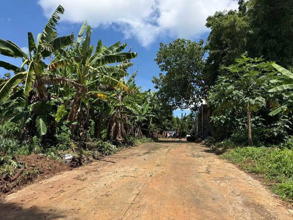 Bán đất P. Tân Lợi, Tp. Buôn Ma Thuột, T. Đắk Lắk - Ảnh 2