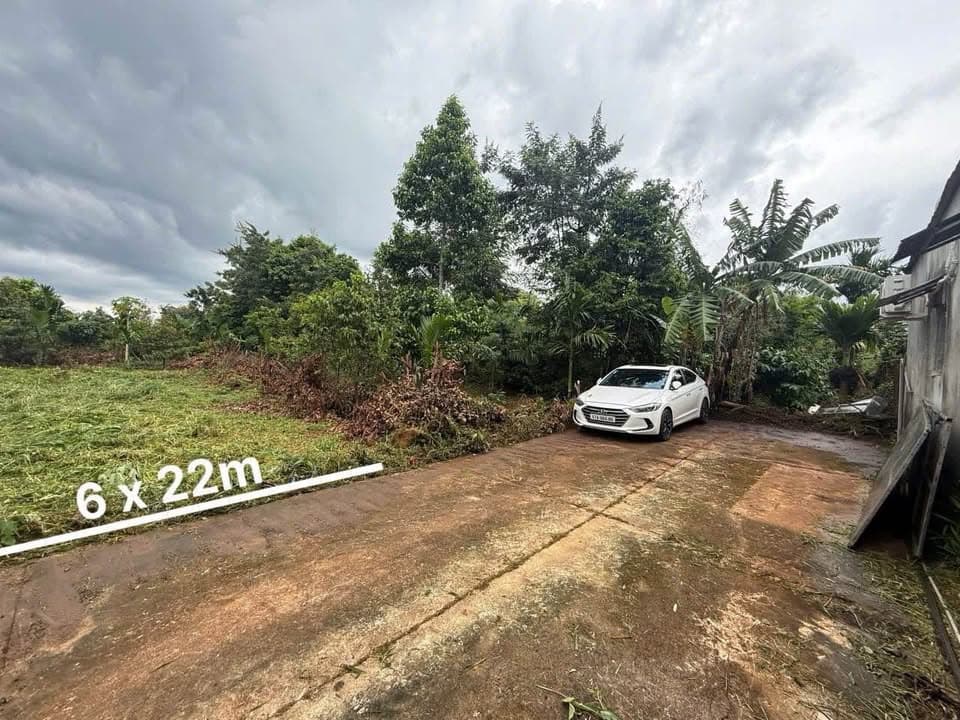 Bán đất P. Tân Lợi, Tp. Buôn Ma Thuột, T. Đắk Lắk - Ảnh 3