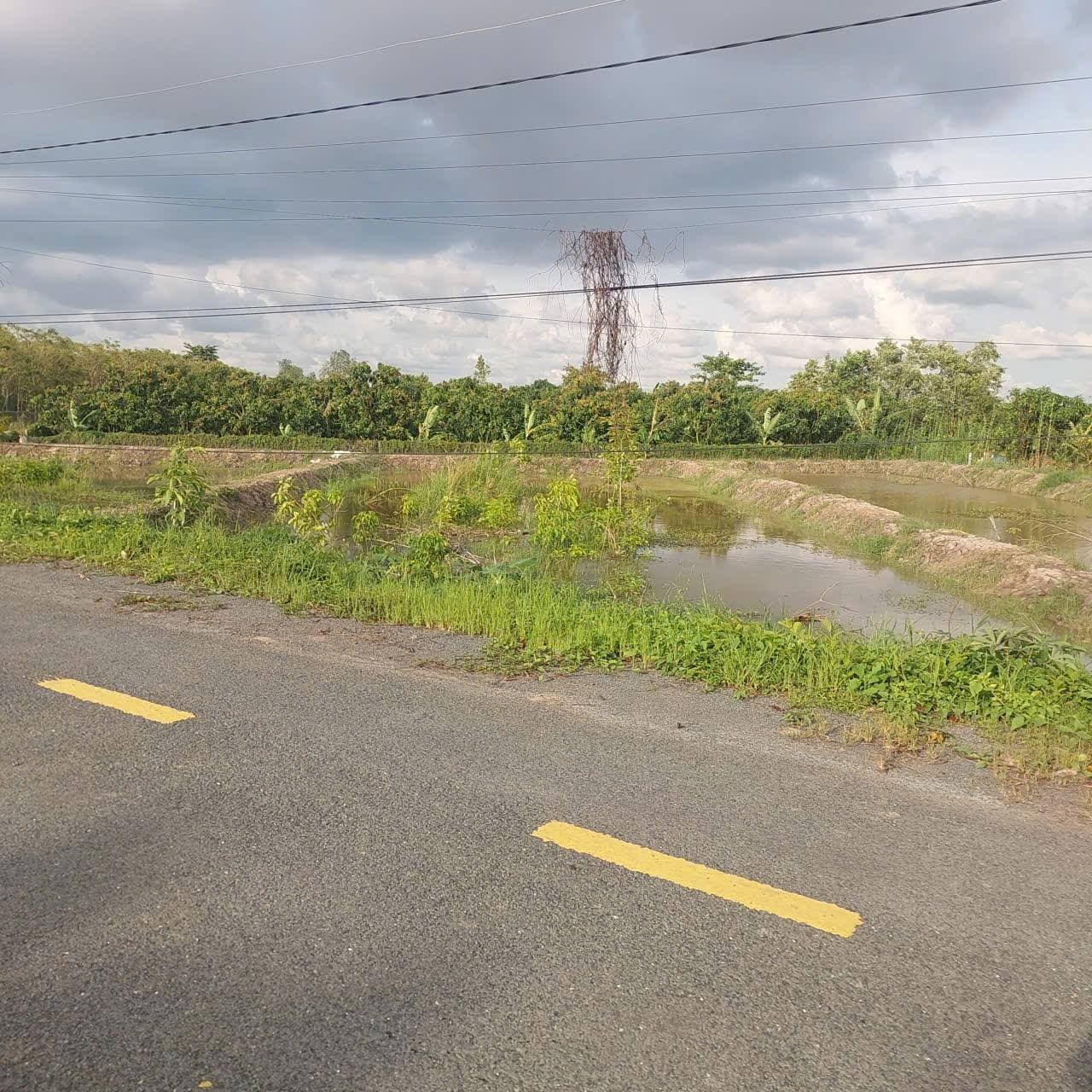 Bán đất X. Mỹ An Hưng A, H. Lấp Vò, T. Đồng Tháp - Ảnh 2