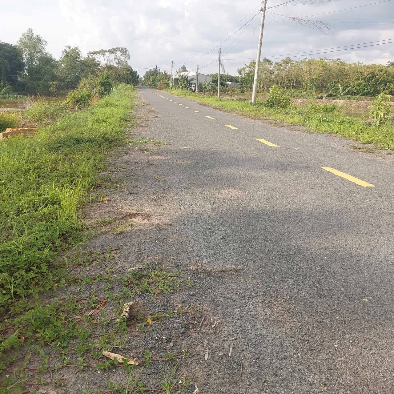 Bán đất X. Mỹ An Hưng A, H. Lấp Vò, T. Đồng Tháp - Ảnh 3