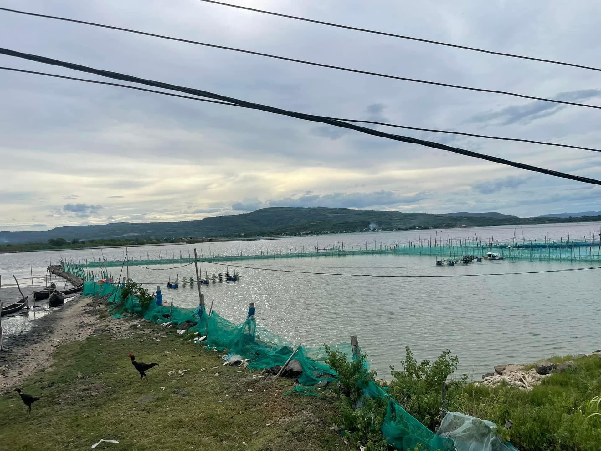 Bán đất H. Tuy An, T. Phú Yên - Ảnh 2