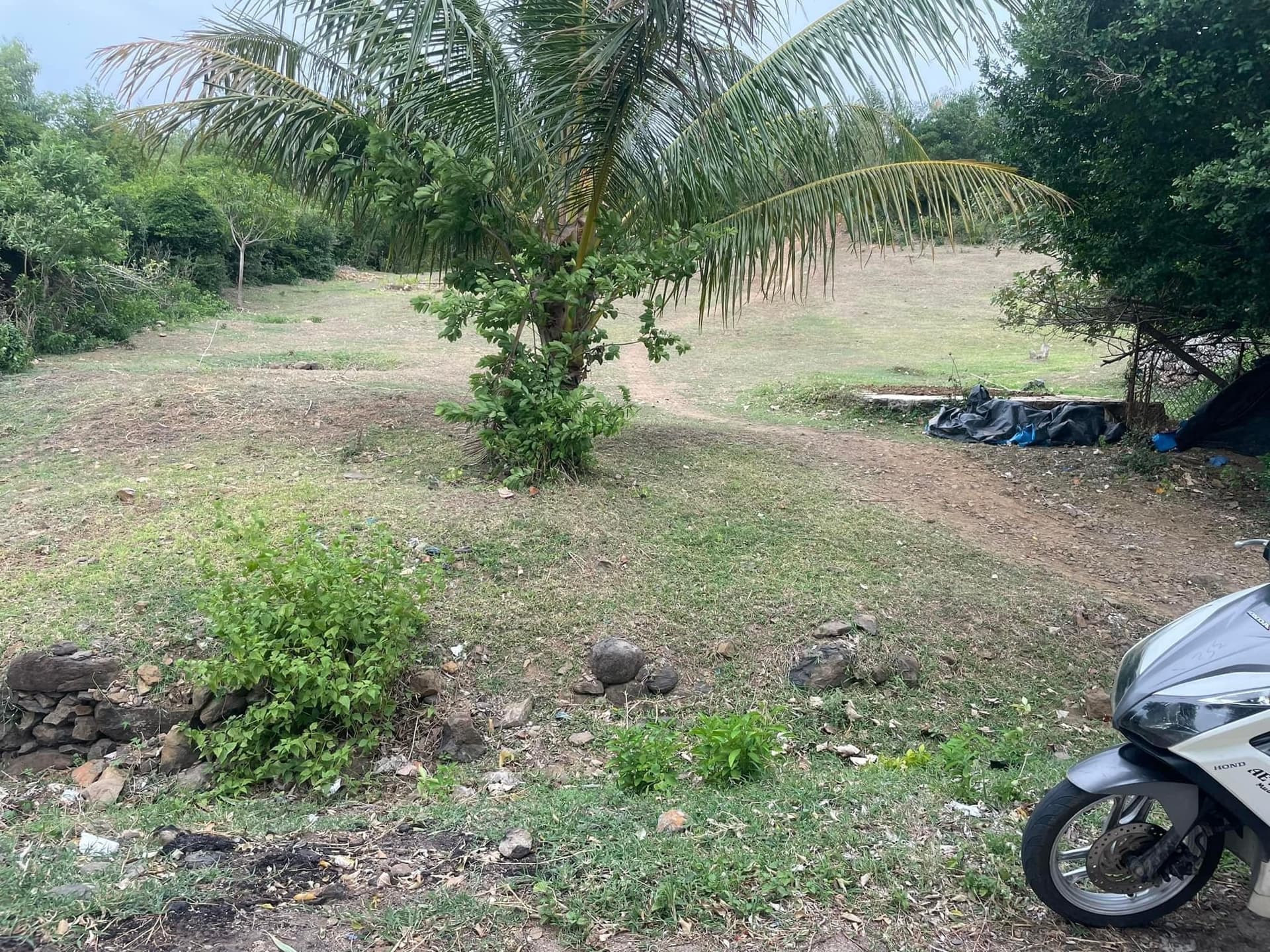 Bán đất H. Tuy An, T. Phú Yên - Ảnh 3