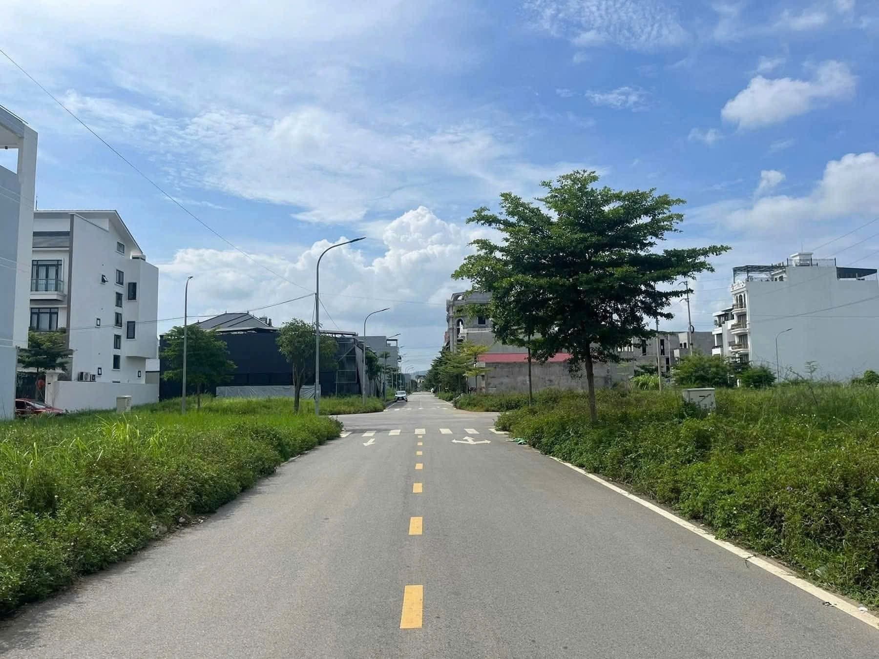 Bán đất Tp. Thủ Đức, Tp. Hồ Chí Minh - Ảnh 3