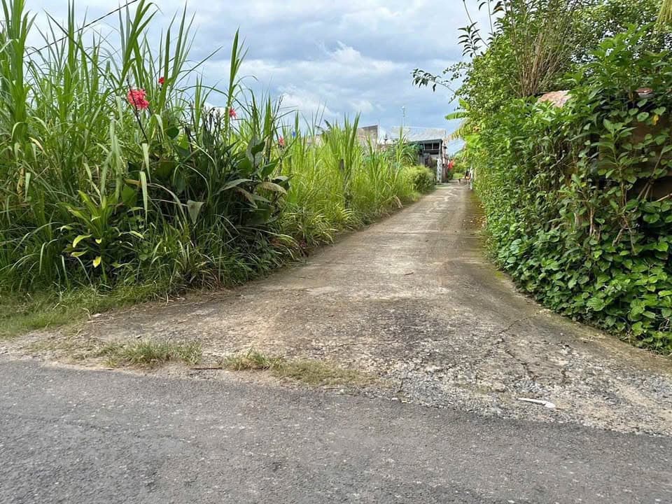 Bán đất H. Phú Tân, T. Cà Mau - Ảnh 3