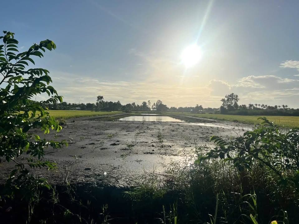 Bán đất X. Vĩnh Hòa Hiệp, H. Châu Thành, T. Kiên Giang - Ảnh 2