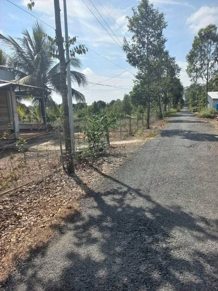 Bán đất Đ. Quốc Lộ 61, X. Hoả Lựu, Tp. Vị Thanh, T. Hậu Giang - Ảnh 2