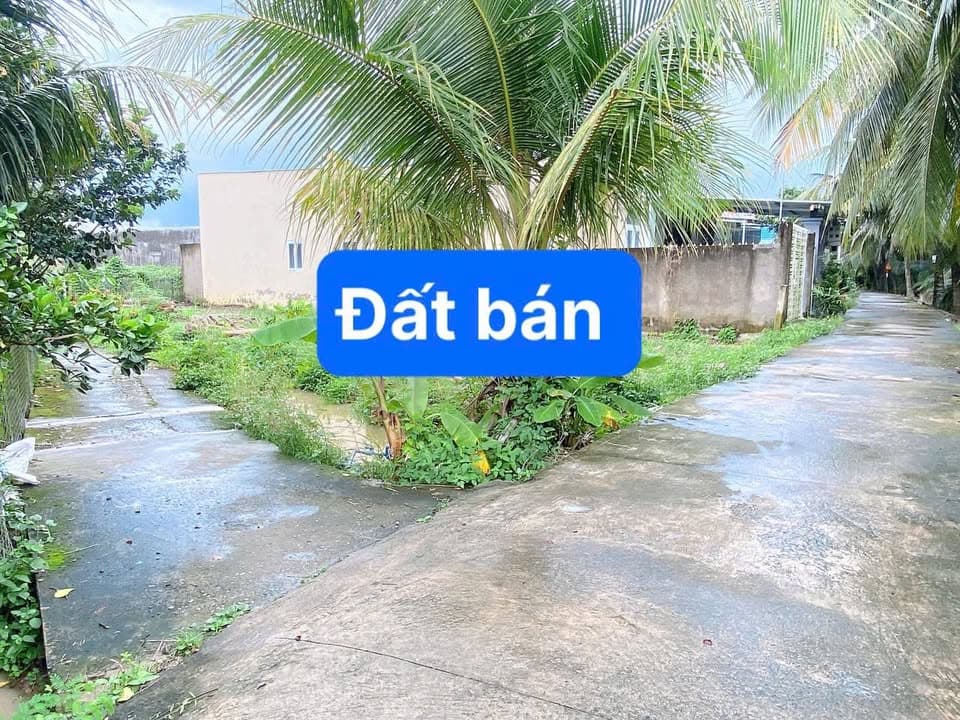 Bán đất Tp. Mỹ Tho, T. Tiền Giang - Ảnh 3