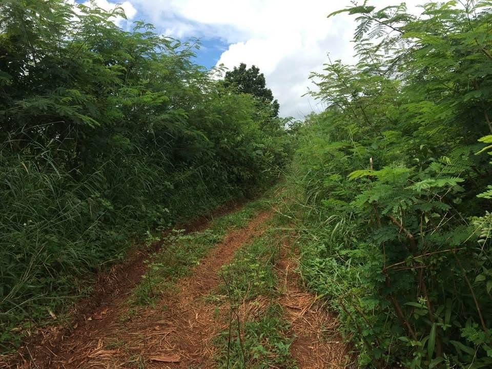 Bán đất H. Chư Pưh, T. Gia Lai