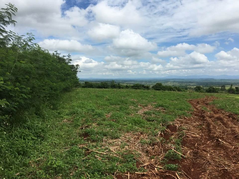 Bán đất H. Chư Pưh, T. Gia Lai - Ảnh 2