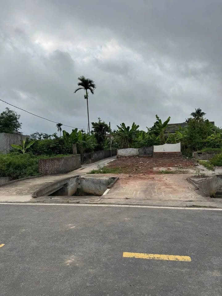 Bán đất Đ. Trung Nghĩa, P. Hợp Đức, Q. Đồ Sơn, Tp. Hải Phòng - Ảnh 2