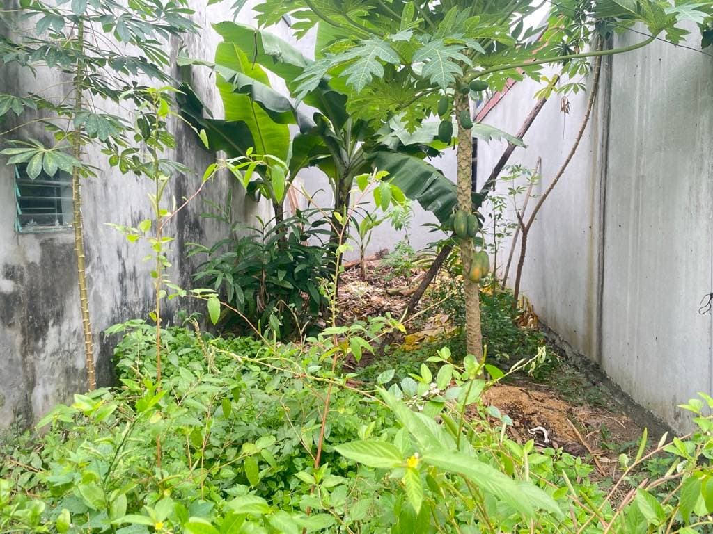 Bán đất P. Vạn Phúc, Q. Hà Đông, Tp. Hà Nội - Ảnh 3