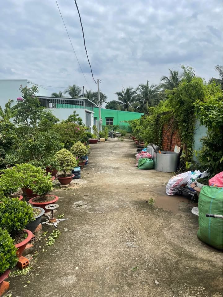 Bán đất Đ. Mỹ Phong, X. Mỹ Phong, Tp. Mỹ Tho, T. Tiền Giang