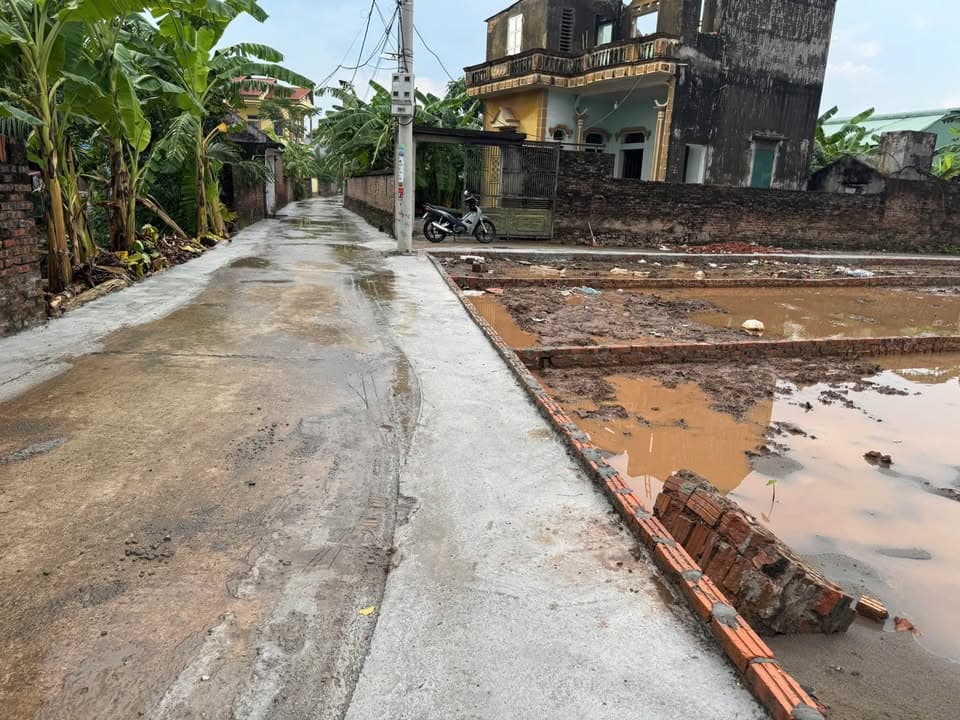 Bán đất X. Đông Cứu, H. Gia Bình, T. Bắc Ninh - Ảnh 3