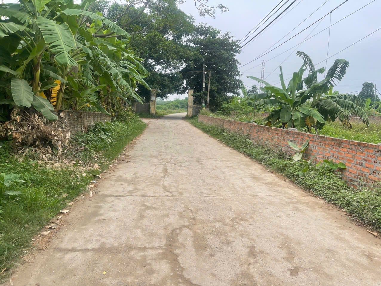 Bán đất Tp. Việt Trì, T. Phú Thọ - Ảnh 3