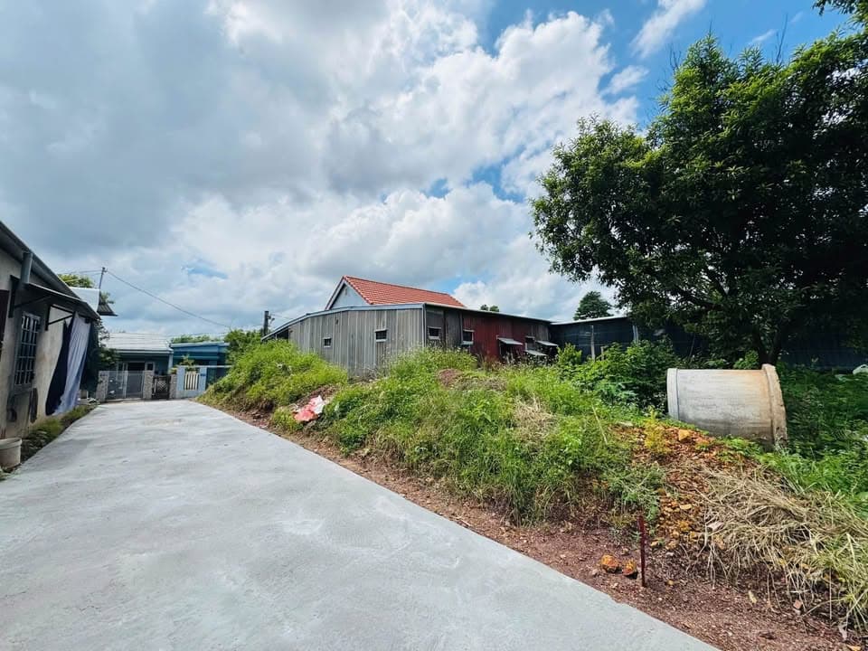 Bán đất Đ. Quảng Tế, Tp. Huế, T. Thừa Thiên Huế - Ảnh 2