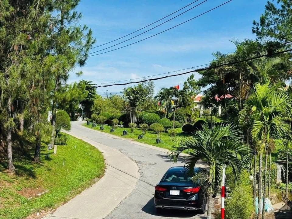 Bán đất Đ. Quảng Tế, Tp. Huế, T. Thừa Thiên Huế - Ảnh 3