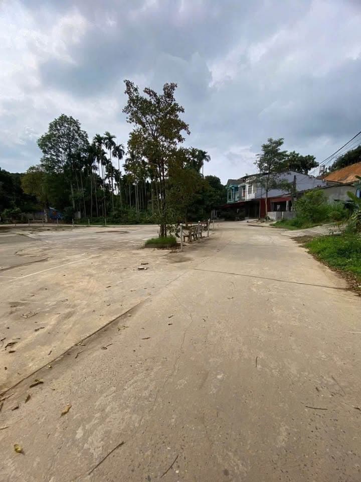 Bán đất P. Nam Cường, Tp. Yên Bái, T. Yên Bái - Ảnh 2