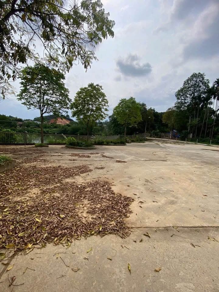 Bán đất P. Nam Cường, Tp. Yên Bái, T. Yên Bái - Ảnh 3