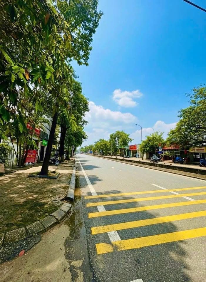 Bán đất Đ. Xuân Thủy, Tp. Huế, T. Thừa Thiên Huế - Ảnh 2