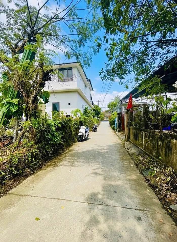 Bán đất Đ. Xuân Thủy, Tp. Huế, T. Thừa Thiên Huế - Ảnh 3